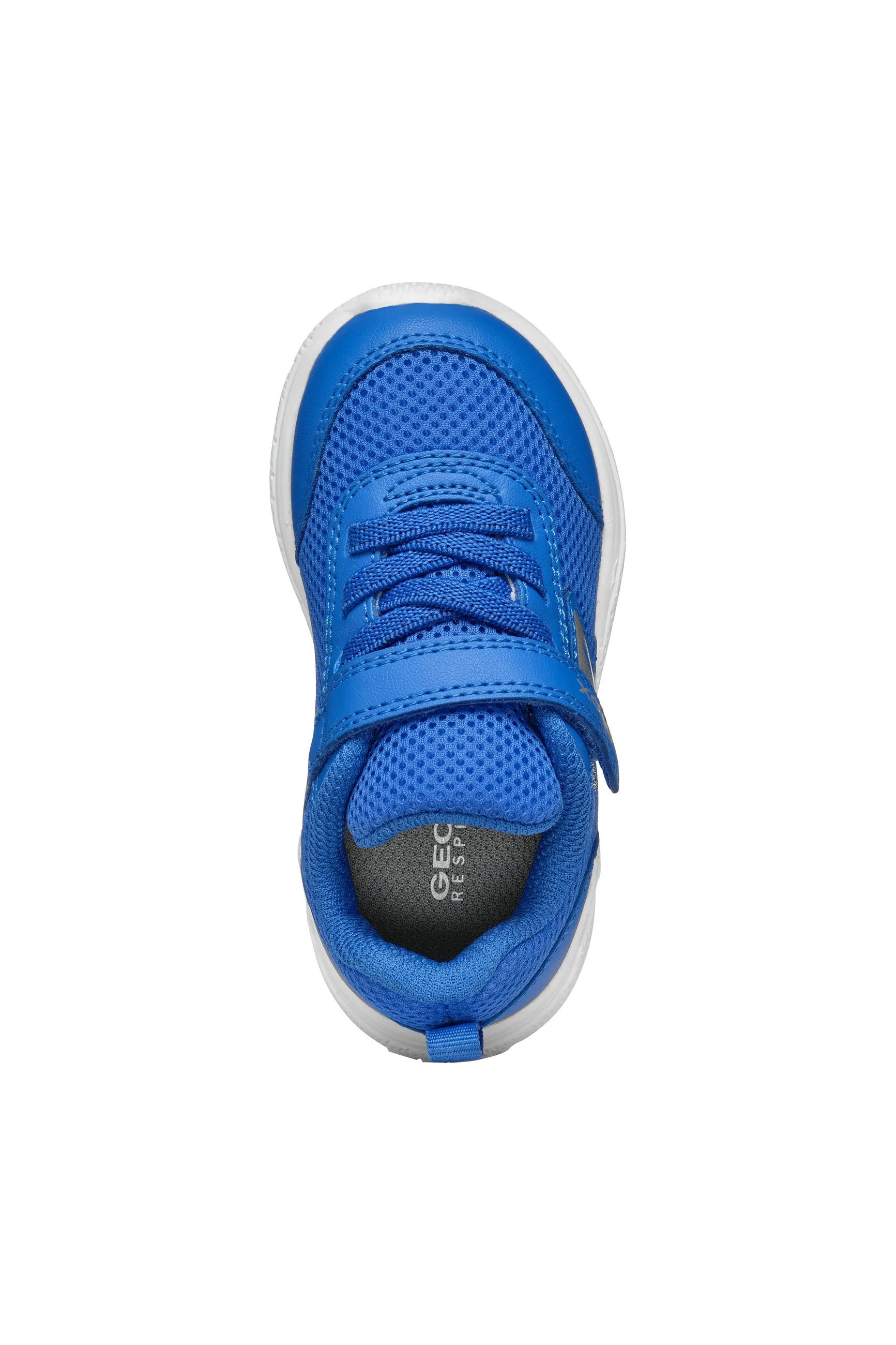 Geox Sprintye Boys Royal Blue Trainer