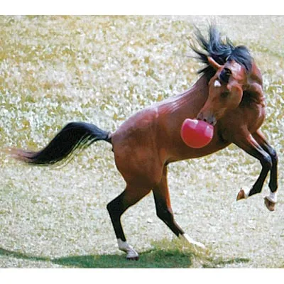 Original Jolly Ball, 10" Horse Toy