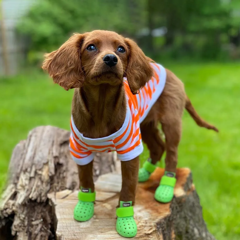 Wagwear WagWellies Mojave Dog Boots (Neon Green)